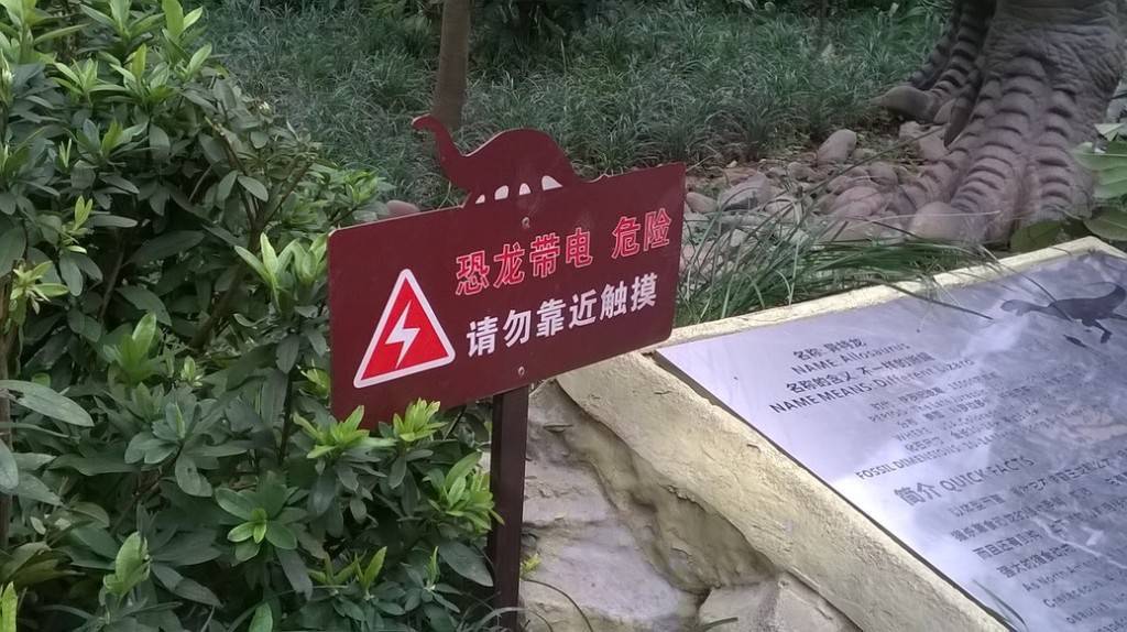 重庆动物园 恐龙谷